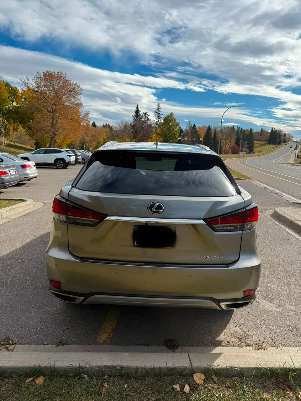 Lexus Rx 350 2020 photo 4