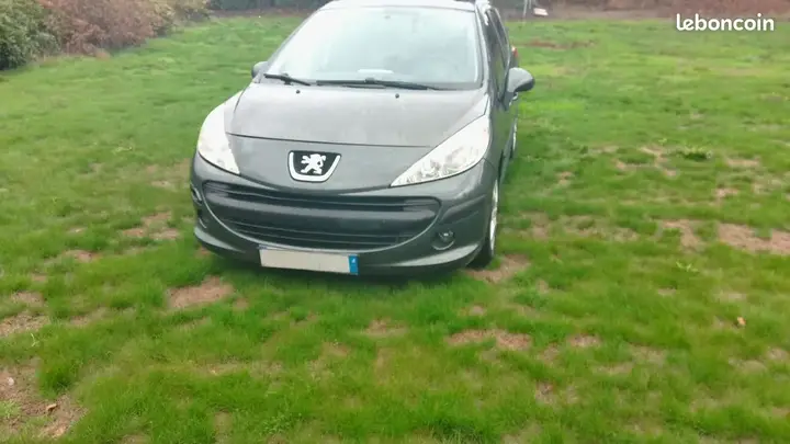 Peugeot 207 2009 photo 2