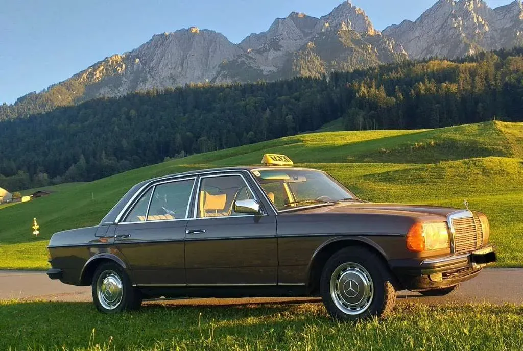 Mercedes-Benz W123 1979 photo 2