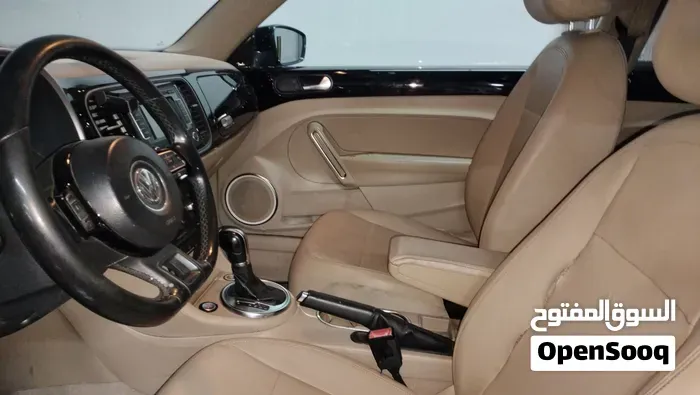 Volkswagen Beetle 2014 photo 2