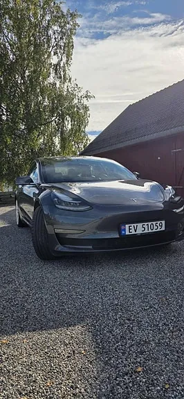 Tesla Model 3 2019 photo 5