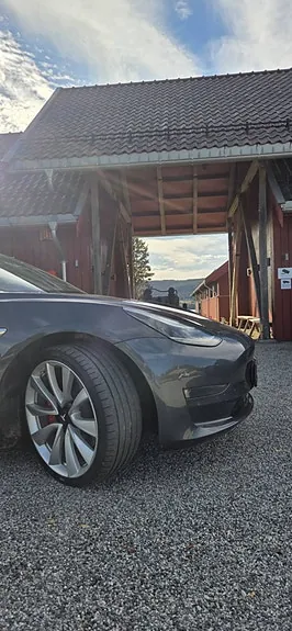 Tesla Model 3 2019 photo 4