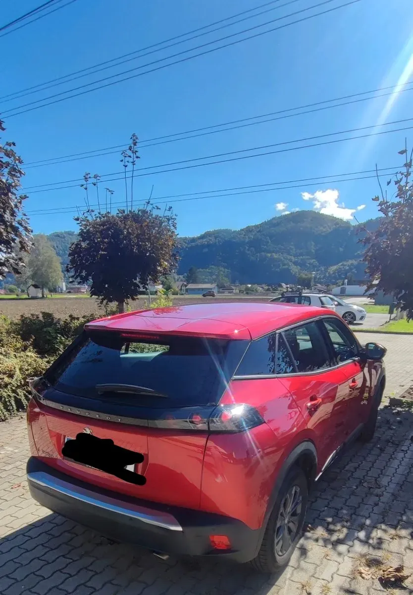 Peugeot 2008 2021 photo 2