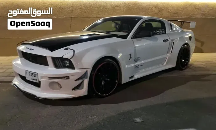 Ford Mustang 2008 photo 3