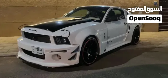 Ford Mustang 2008 photo 2