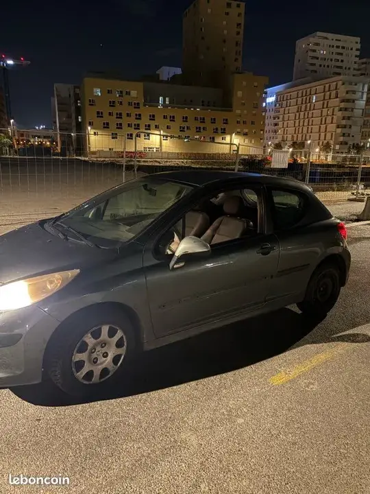 Peugeot 207 2006 photo 2