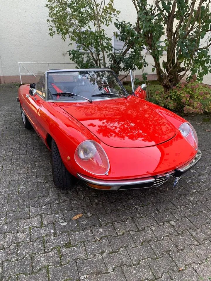 Alfa Romeo Spider