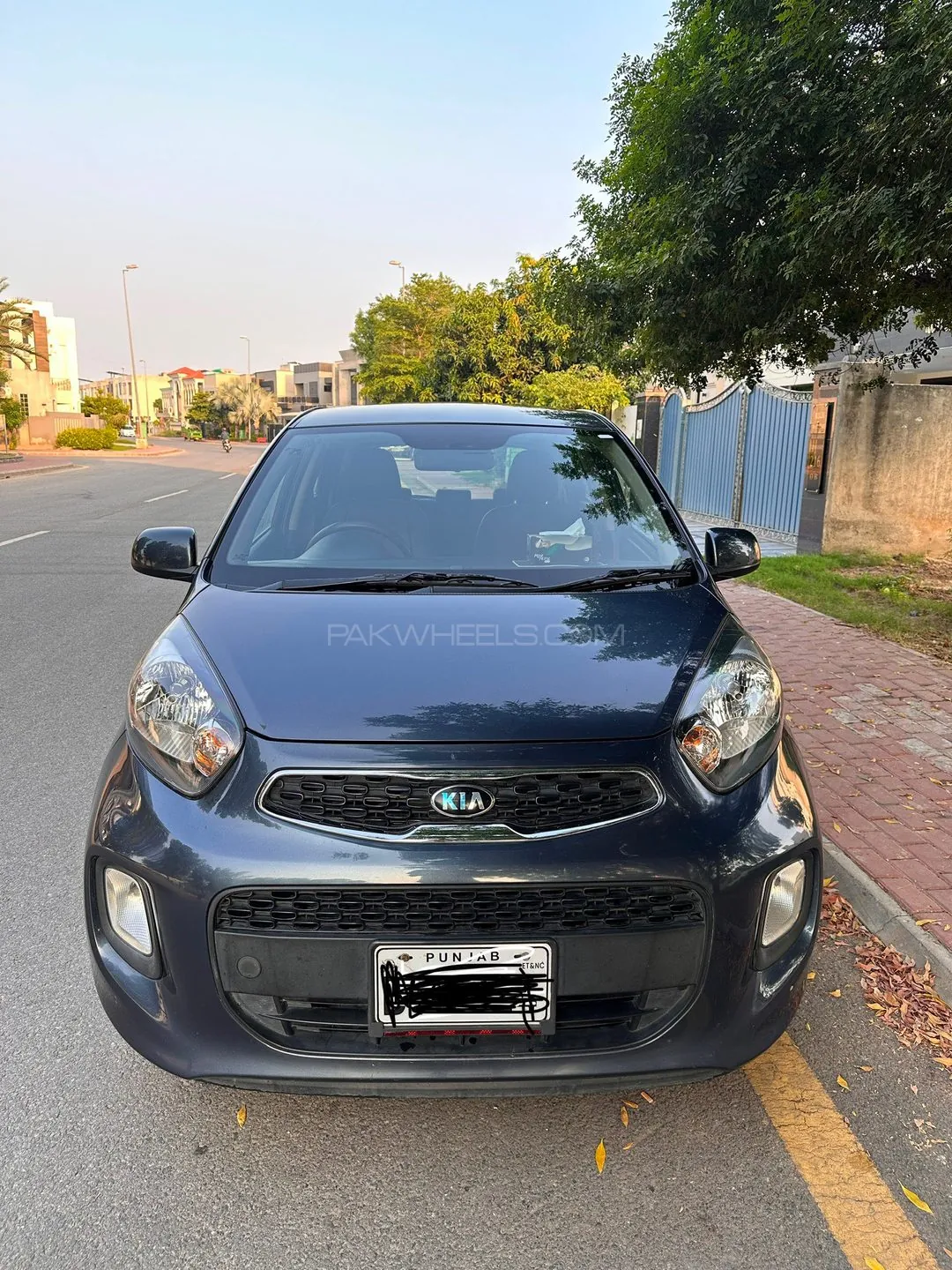 Kia Picanto