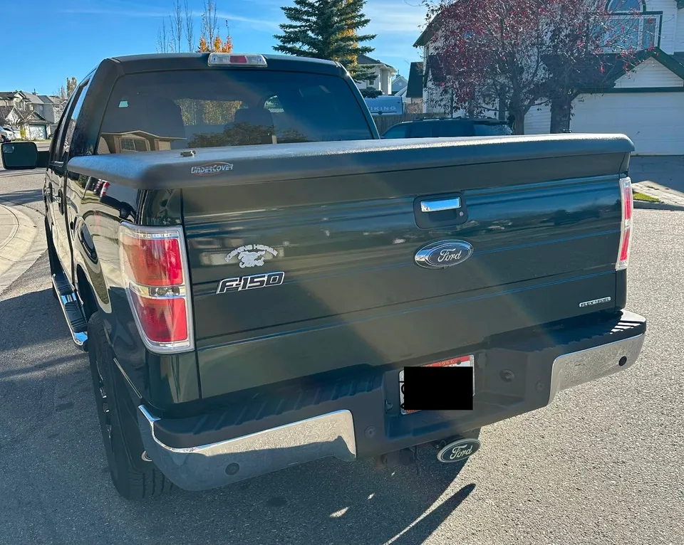 Ford F-150 2013 photo 2
