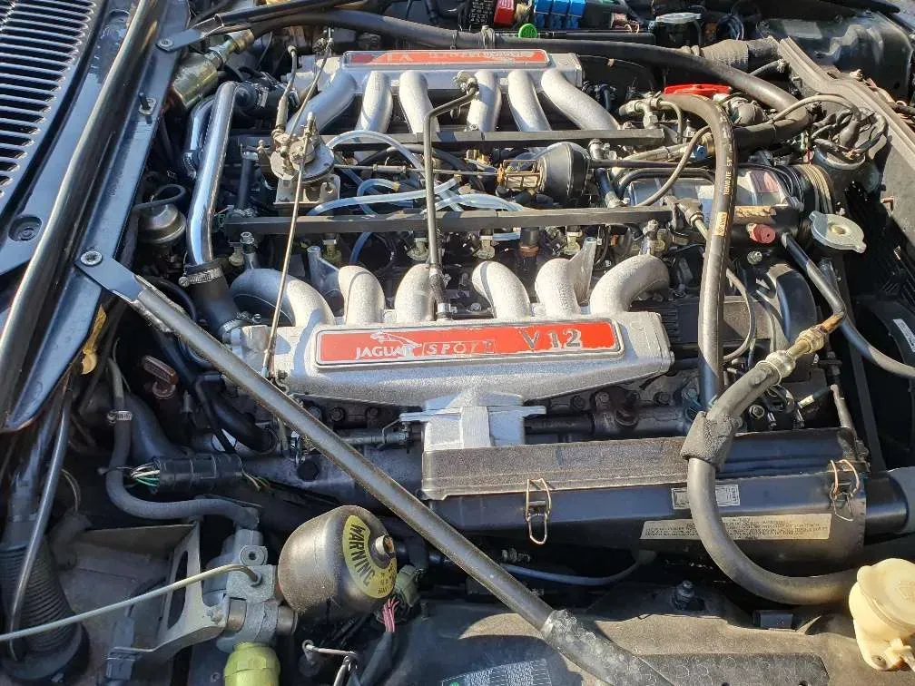 Jaguar Xjs