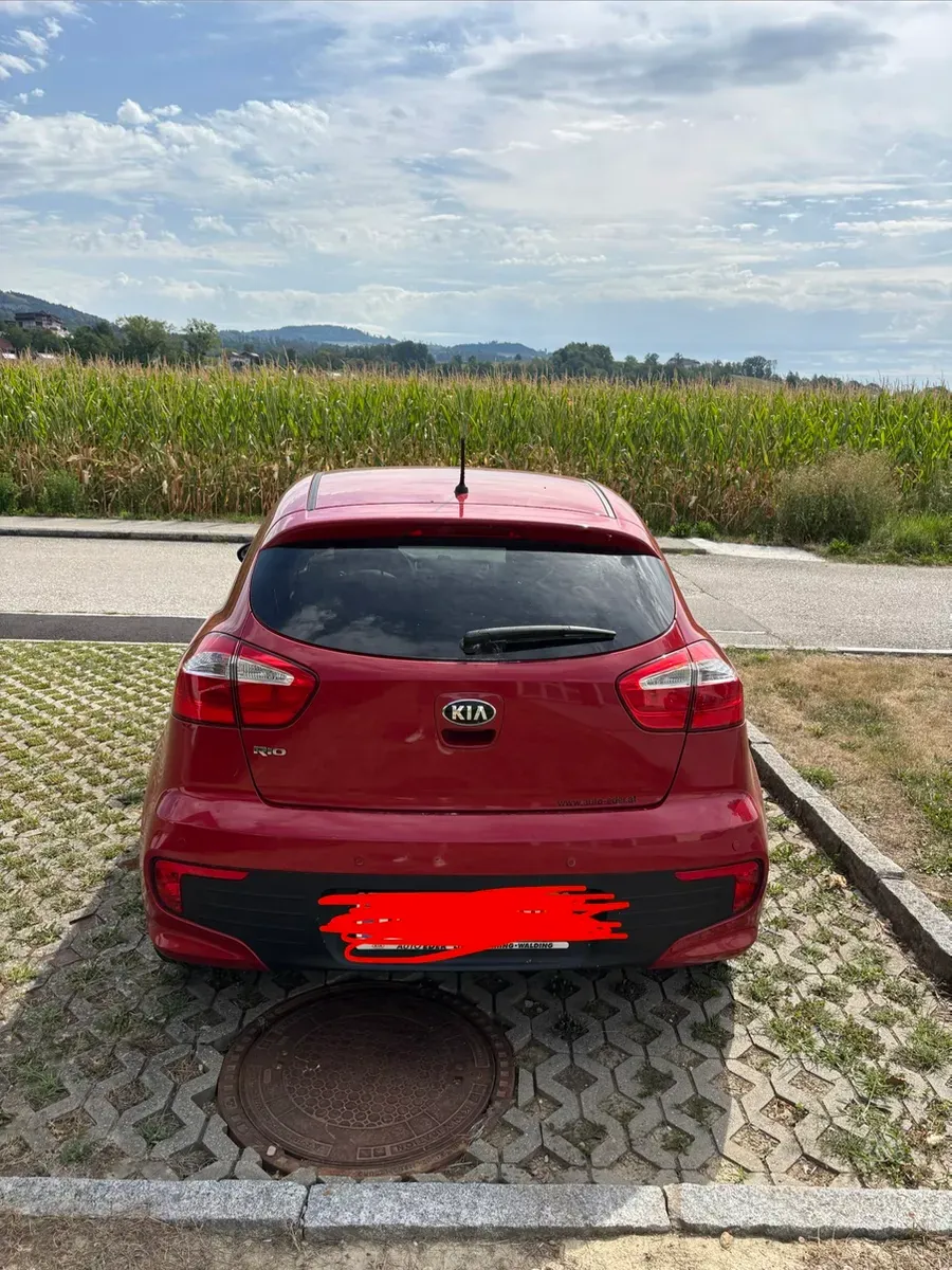 Kia Rio 2015 photo 3