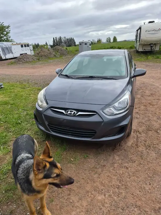 Hyundai Accent 2012 photo 4