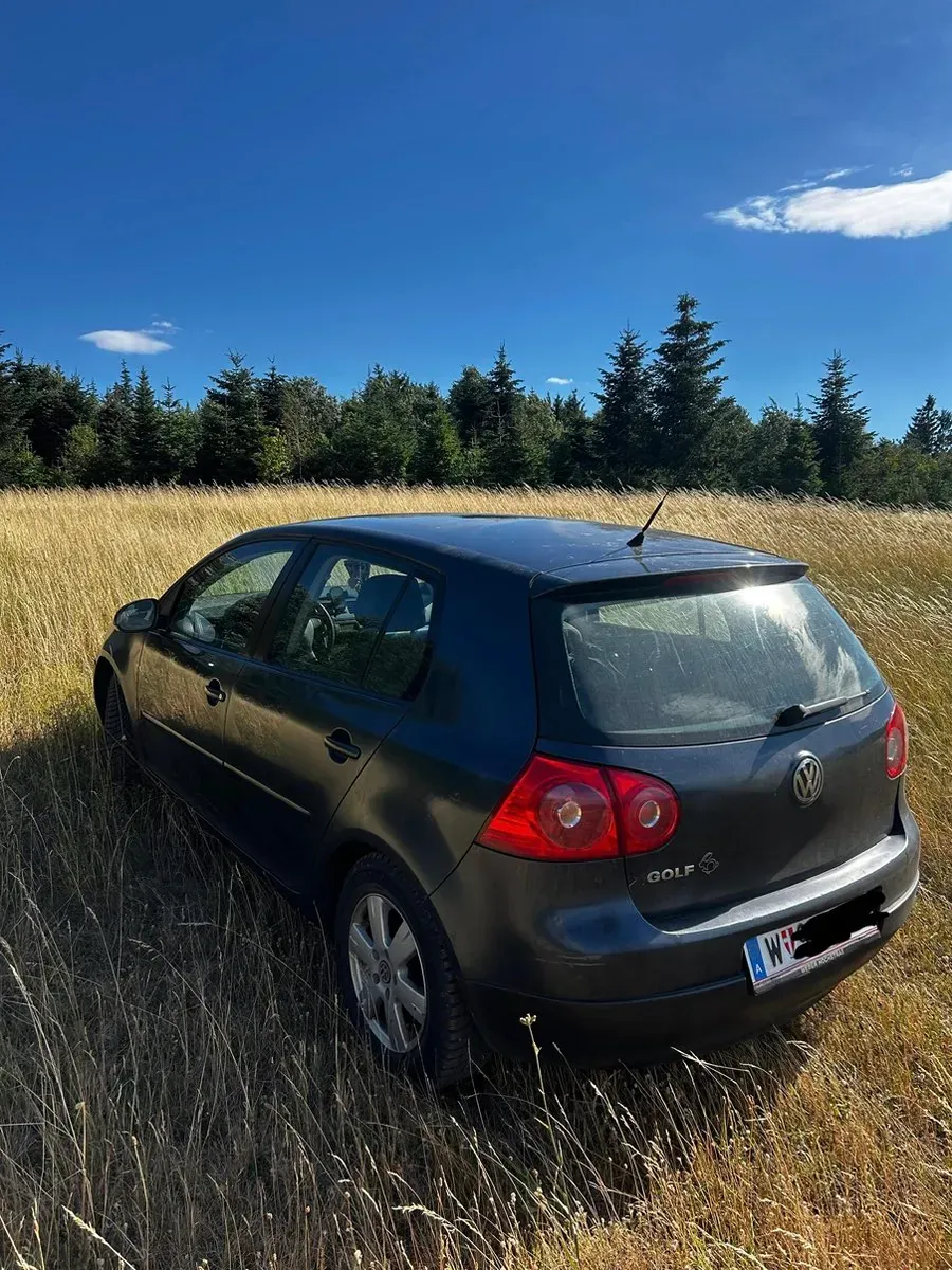 Volkswagen Golf 2008 photo 2