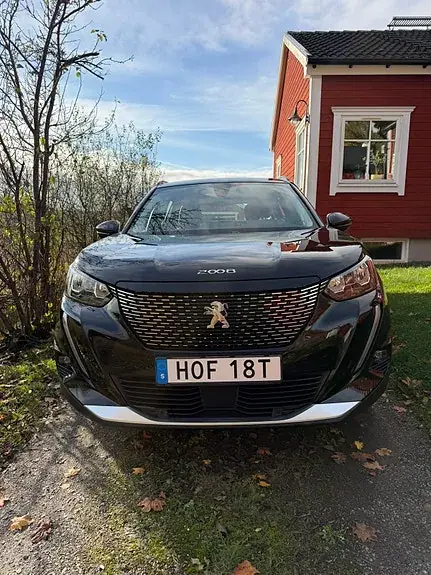 Peugeot 2008 2020 photo 3