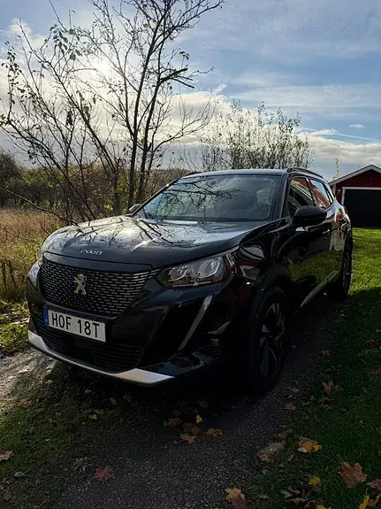 Peugeot 2008 2020 photo 4