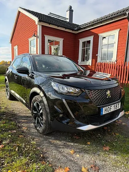Peugeot 2008 2020 photo 2