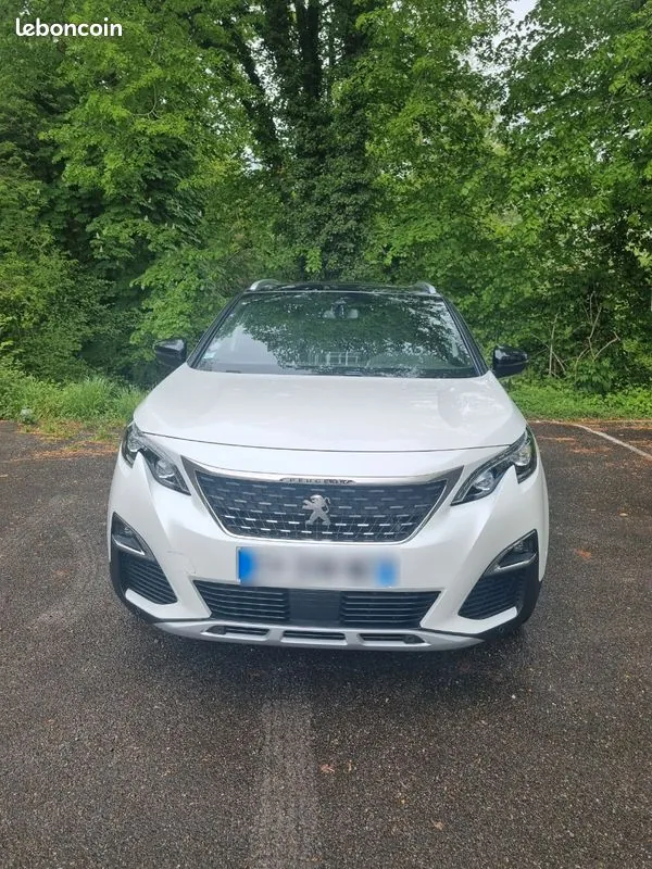 Peugeot 3008 2016 photo 3