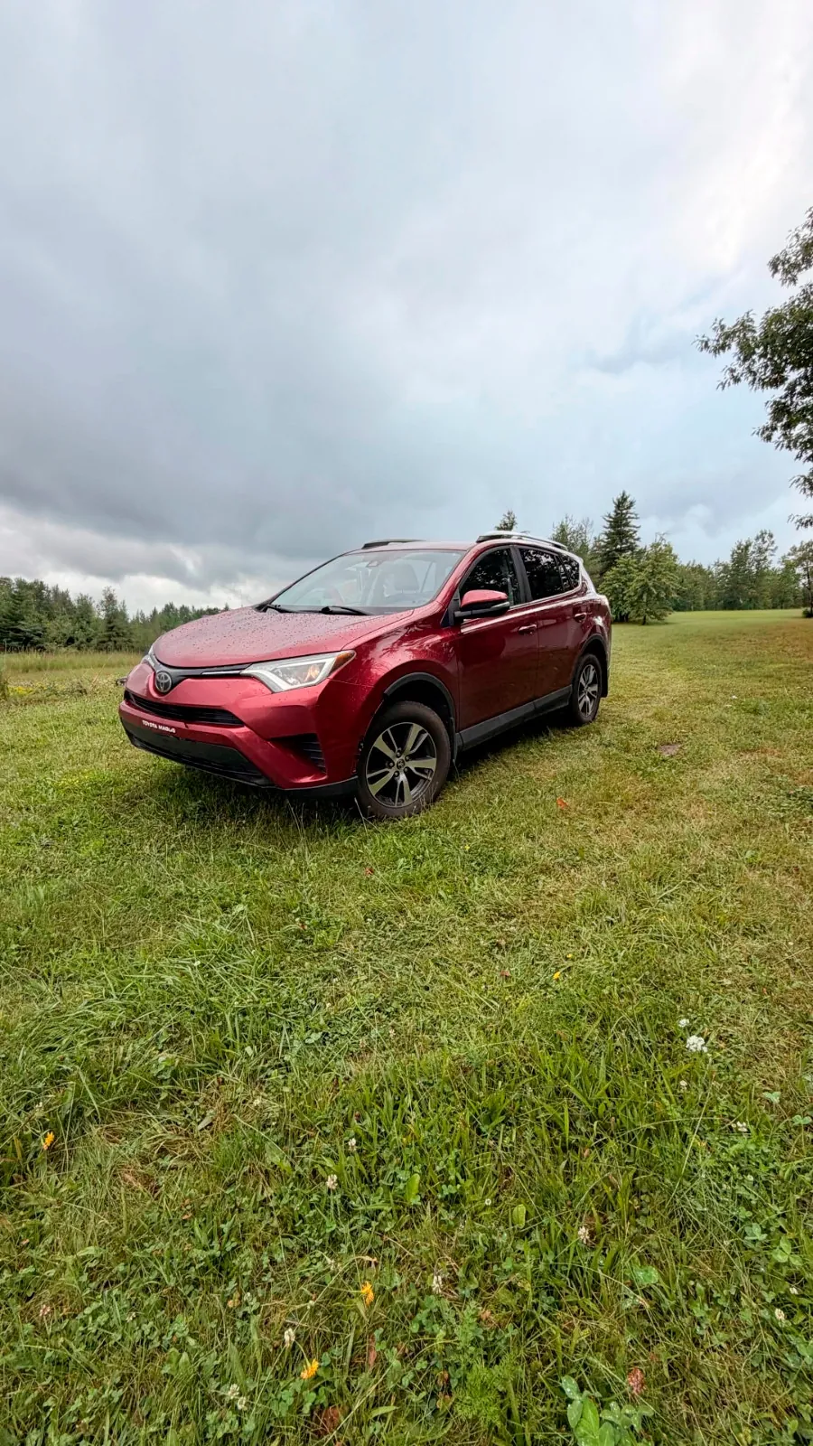 Toyota Rav4 2018 photo 3