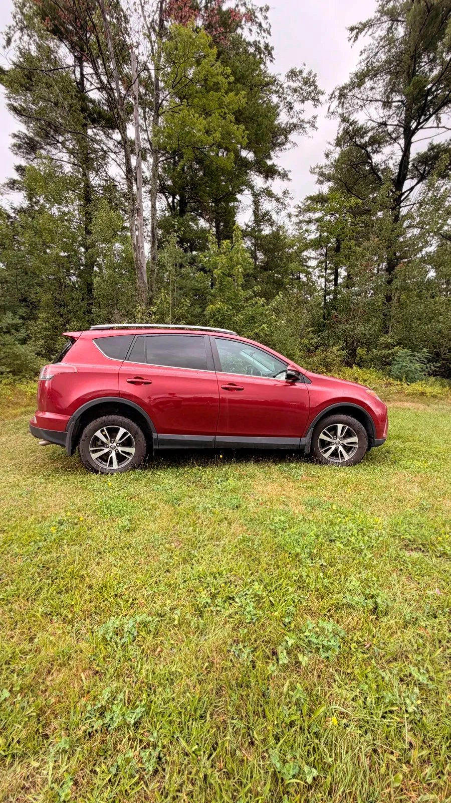Toyota Rav4 2018 photo 2