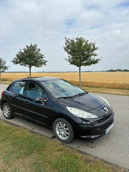 Peugeot 207 2009 photo 4