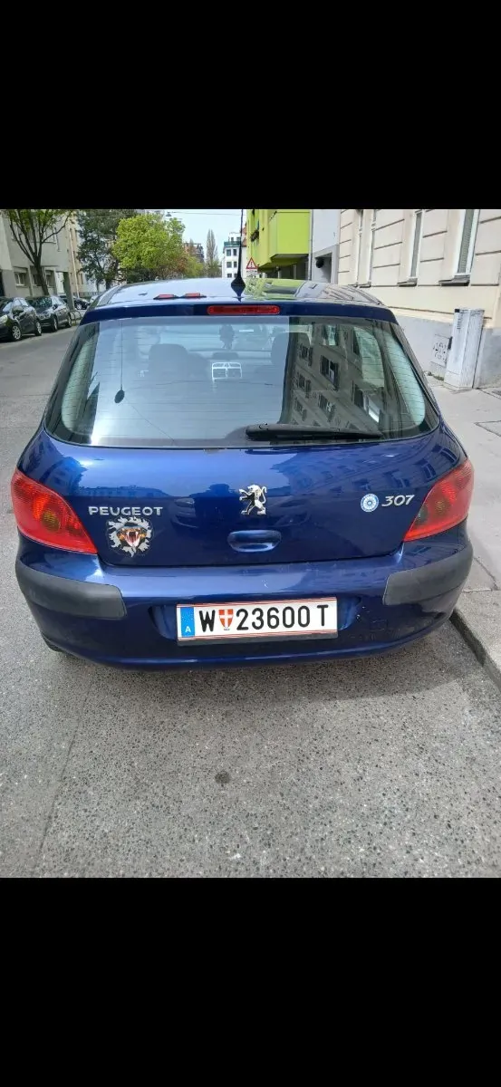 Peugeot 307 2005 photo 3