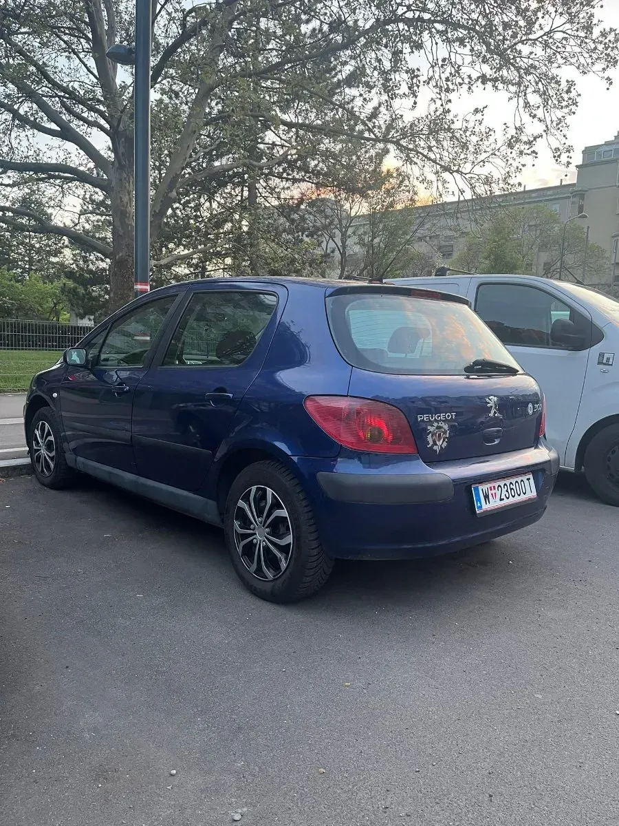 Peugeot 307 2005 photo 2