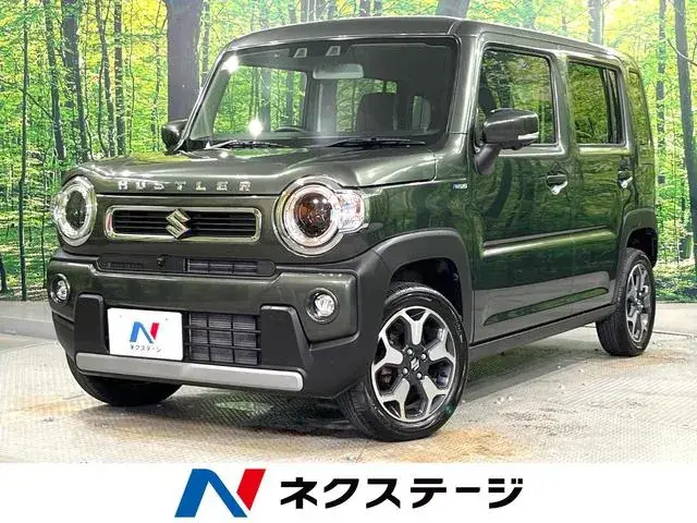 Suzuki Hailler Hybrid X