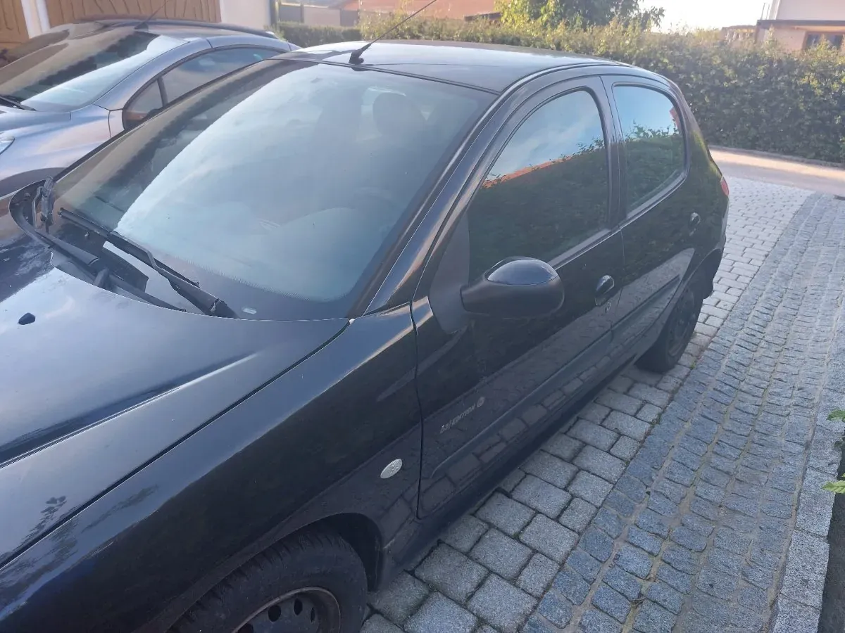 Peugeot 206 2004 photo 3