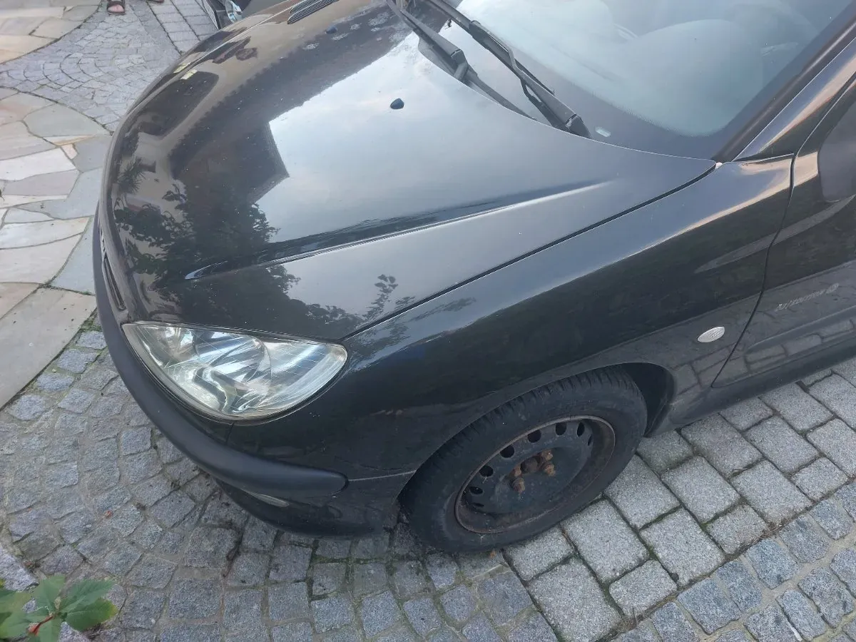 Peugeot 206 2004 photo 2