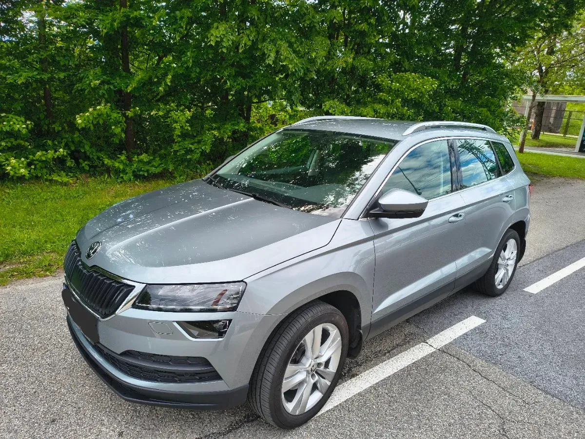 Skoda Karoq 2019 photo 2