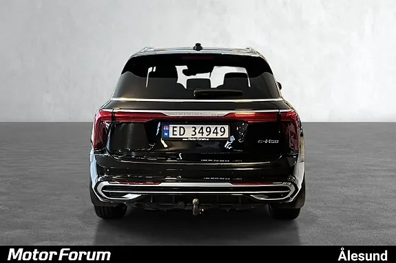 Hongqi E-Hs9 2022 photo 4