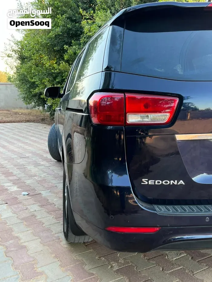 Kia Sedona 2017 photo 2