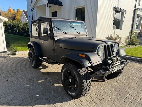Jeep Wrangler 1995 photo 2