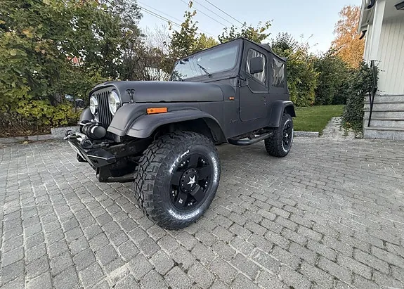 Jeep Wrangler 1995 photo 3