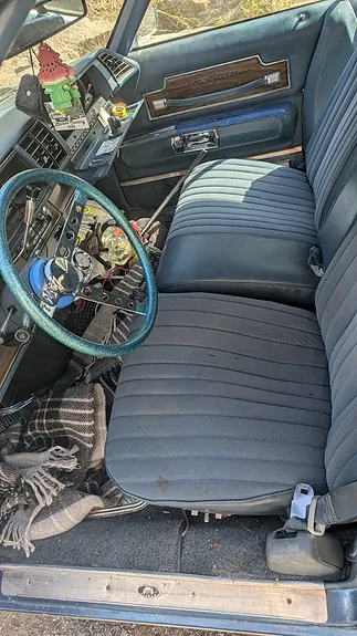 Buick Electra 225 1976 photo 2