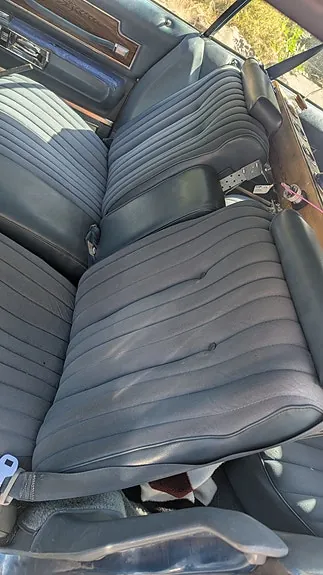 Buick Electra 225 1976 photo 4