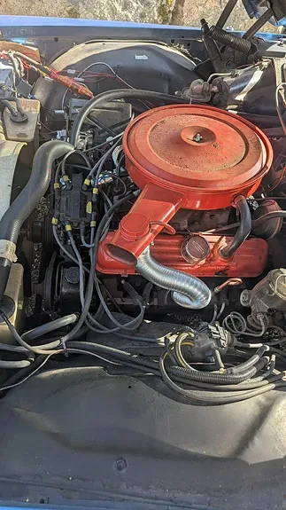 Buick Electra 225 1976 photo 3