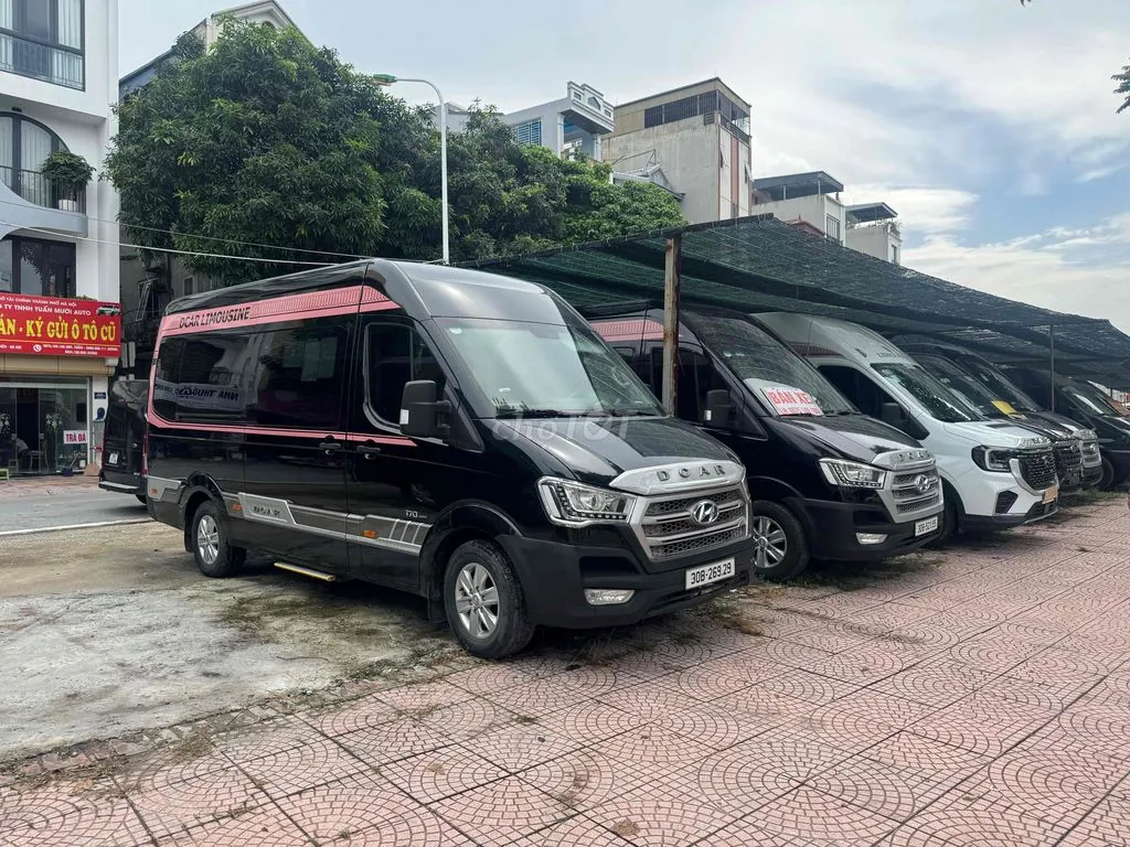 Hyundai Dacrlimosin 2019 photo 3