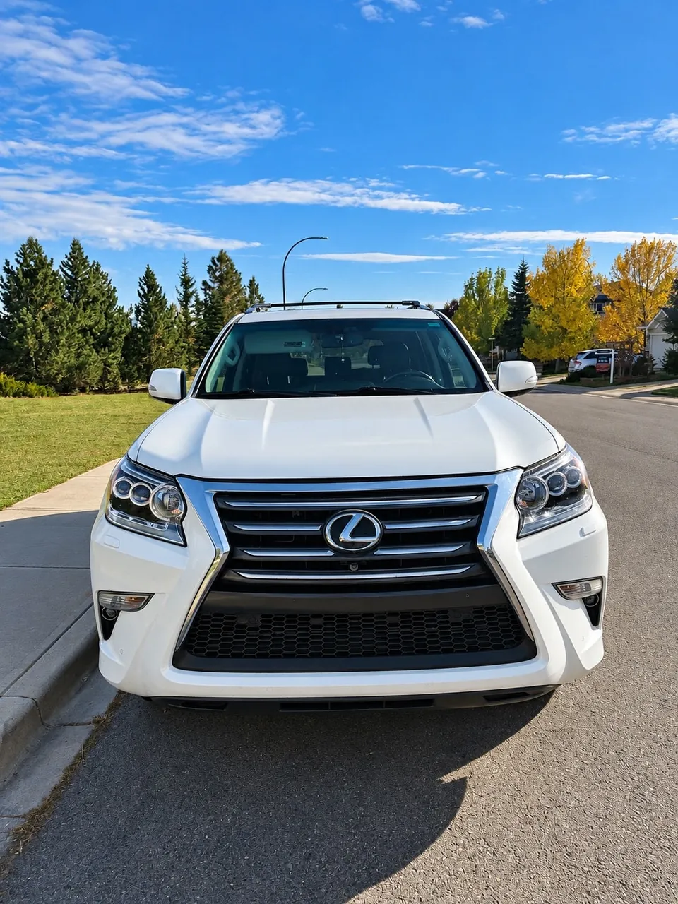 Lexus Gx 460 2015 photo 2
