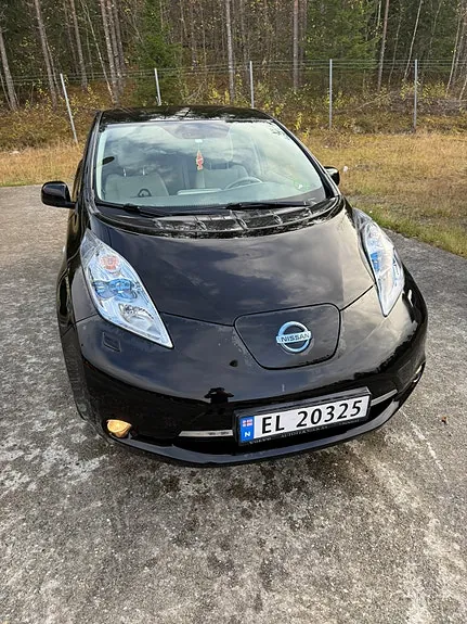 Nissan Leaf 2013 photo 2