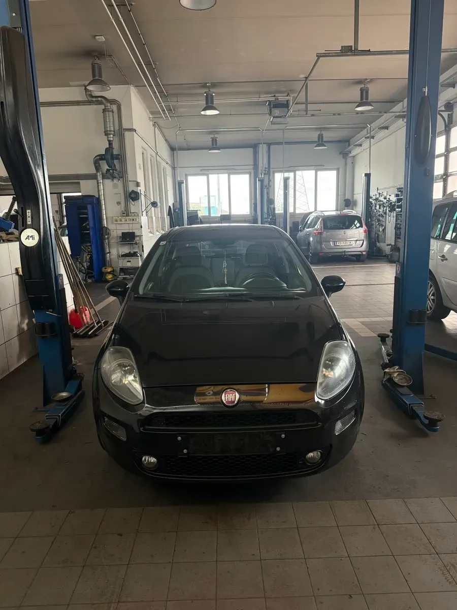 Fiat Punto