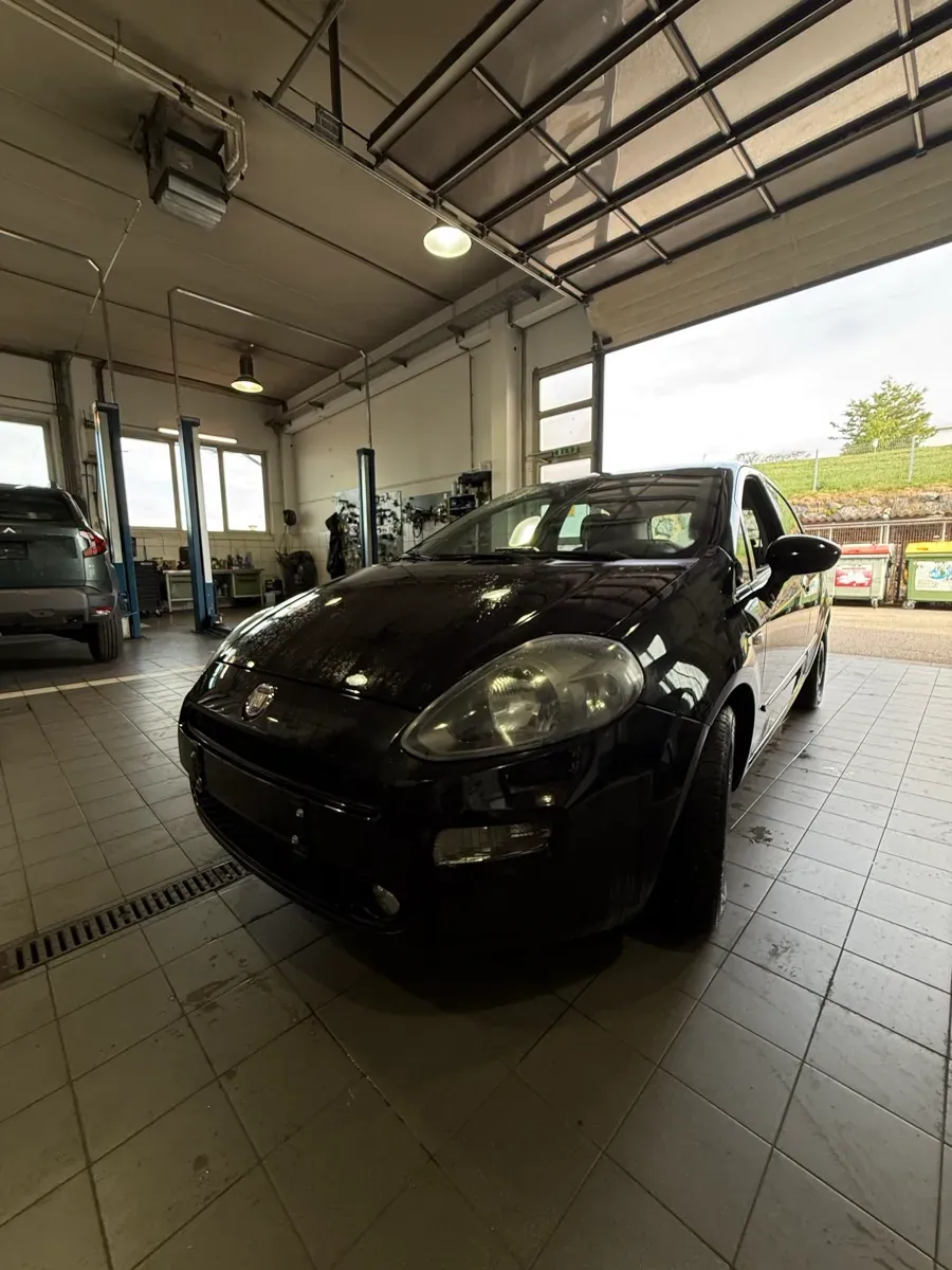 Fiat Punto 2012 photo 2