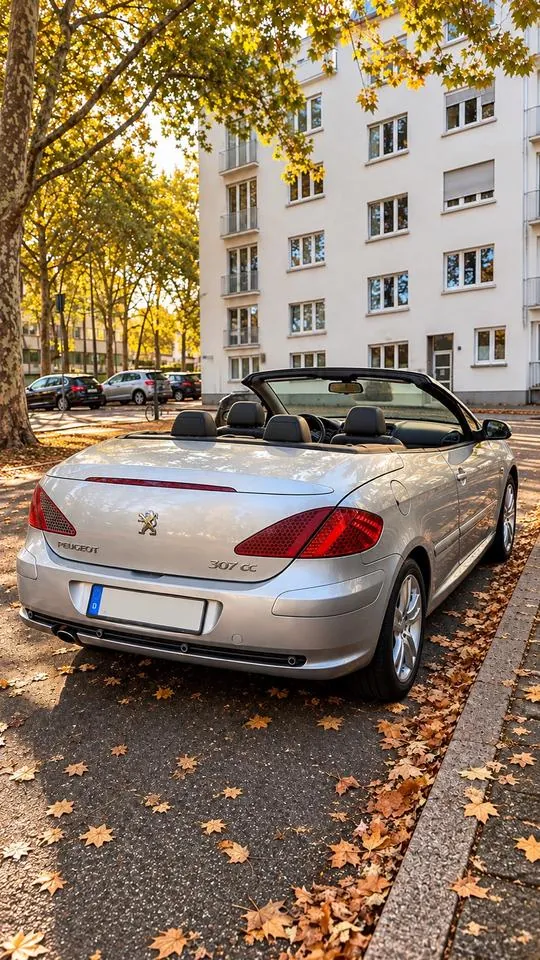 Peugeot 307 Cc