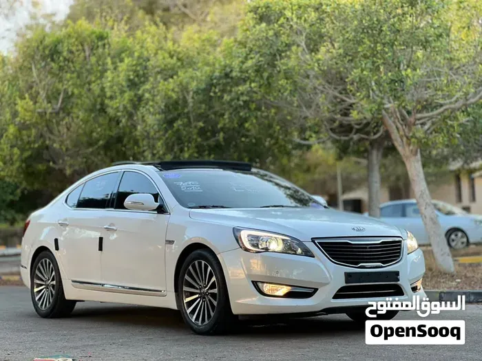 Kia Cadenza 2010 photo 2