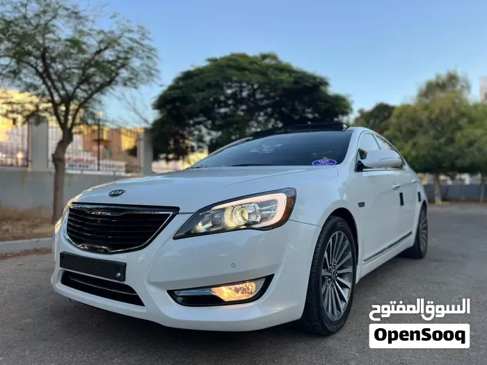 Kia Cadenza 2010 photo 3