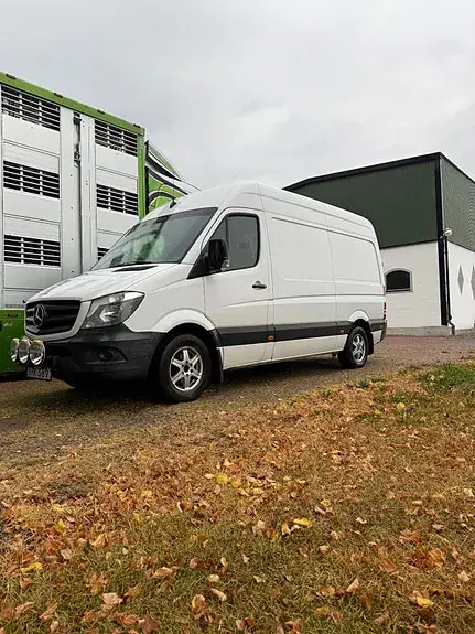Mercedes-Benz Sprinter 316 2015 photo 4