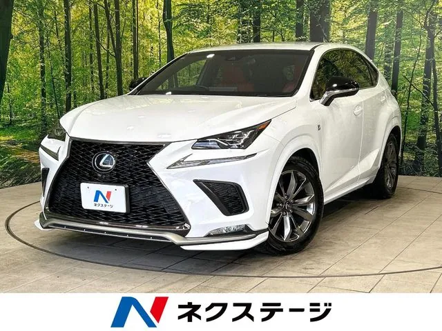 Lexus Nx 300