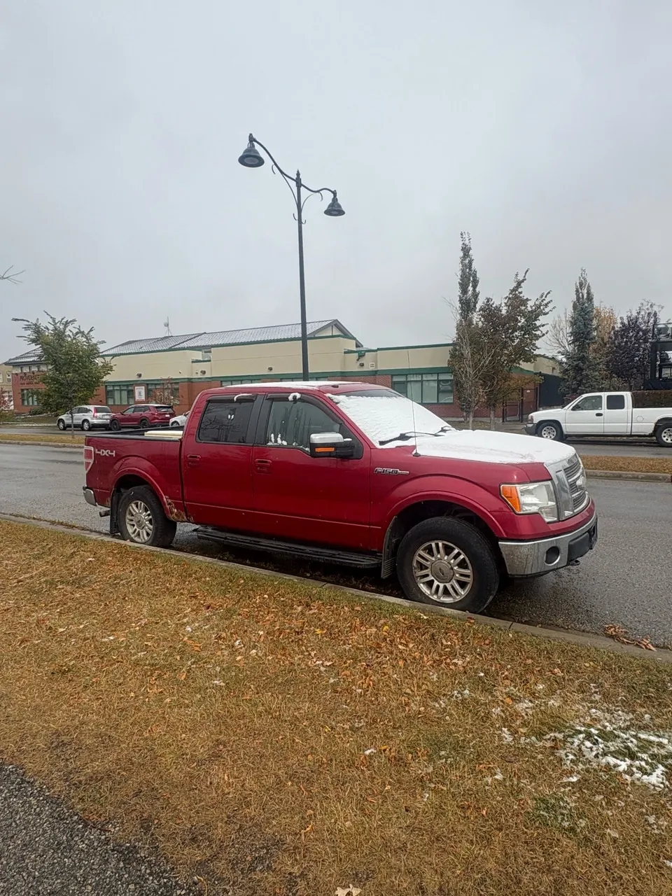Ford F-150 2009 photo 2