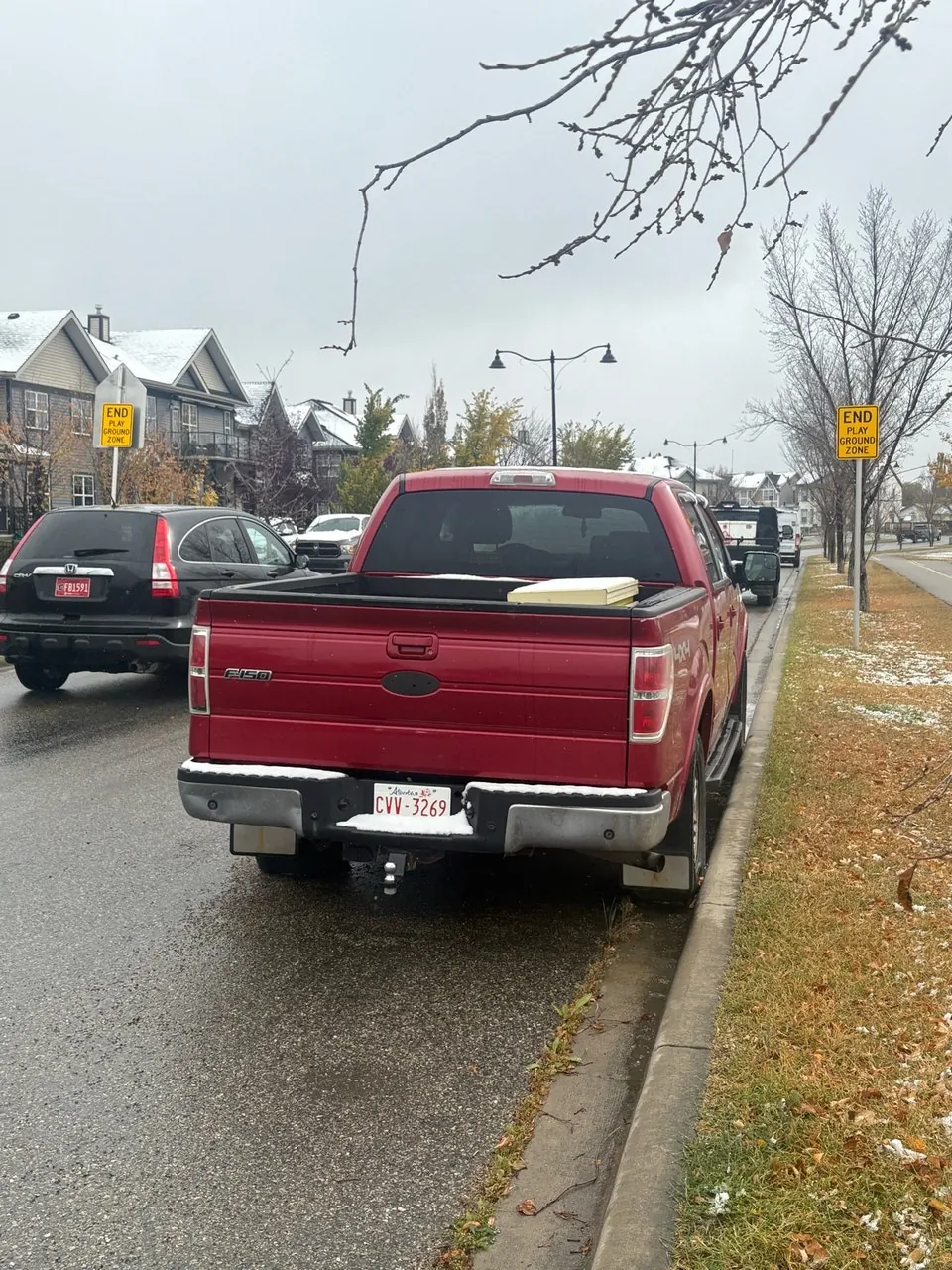 Ford F-150 2009 photo 3