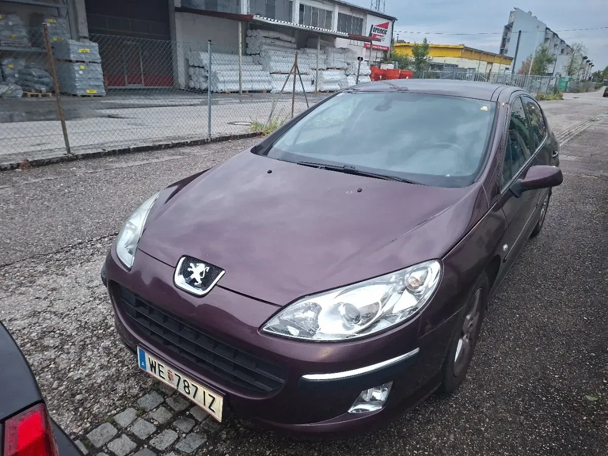 Peugeot 407 2007 photo 2